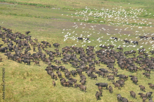 The view from the helicopter. Mozambique