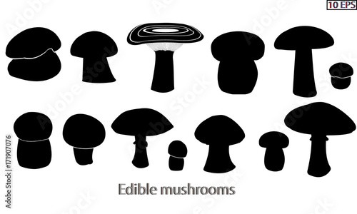 Mushrooms. Black icon. Set mushrooms. Edible fungus. Illustration to culinary sites or cook book. Recipe mushrooms, vegetarian menu, kitchen interior design. Vector illustration.