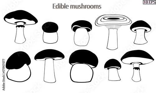 Mushrooms. Black icon. Set mushrooms. Edible fungus. Illustration to culinary sites or cook book. Recipe mushrooms, vegetarian menu, kitchen interior design. Vector illustration.