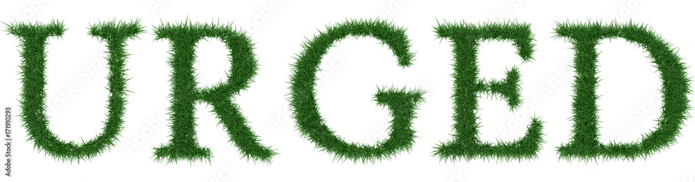 Urged - 3D rendering fresh Grass letters isolated on whhite background. Urged - 3D rendering fresh Grass letters isolated on whhite background.