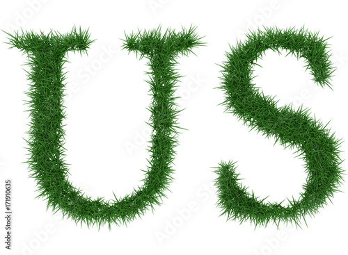 Us - 3D rendering fresh Grass letters isolated on whhite background.