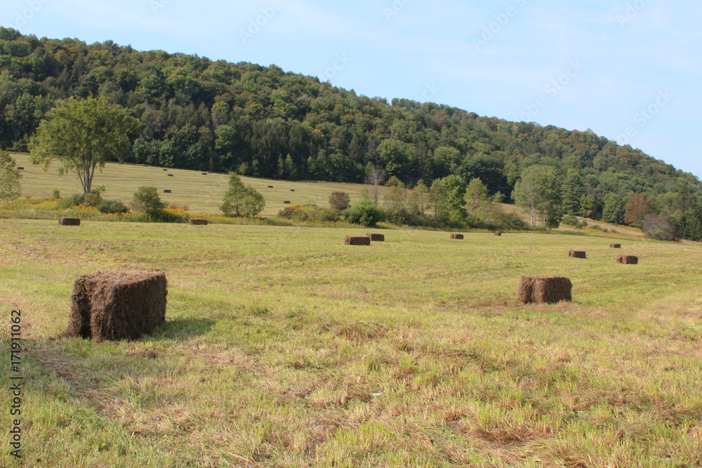 View of mountains across a field of baled hay
