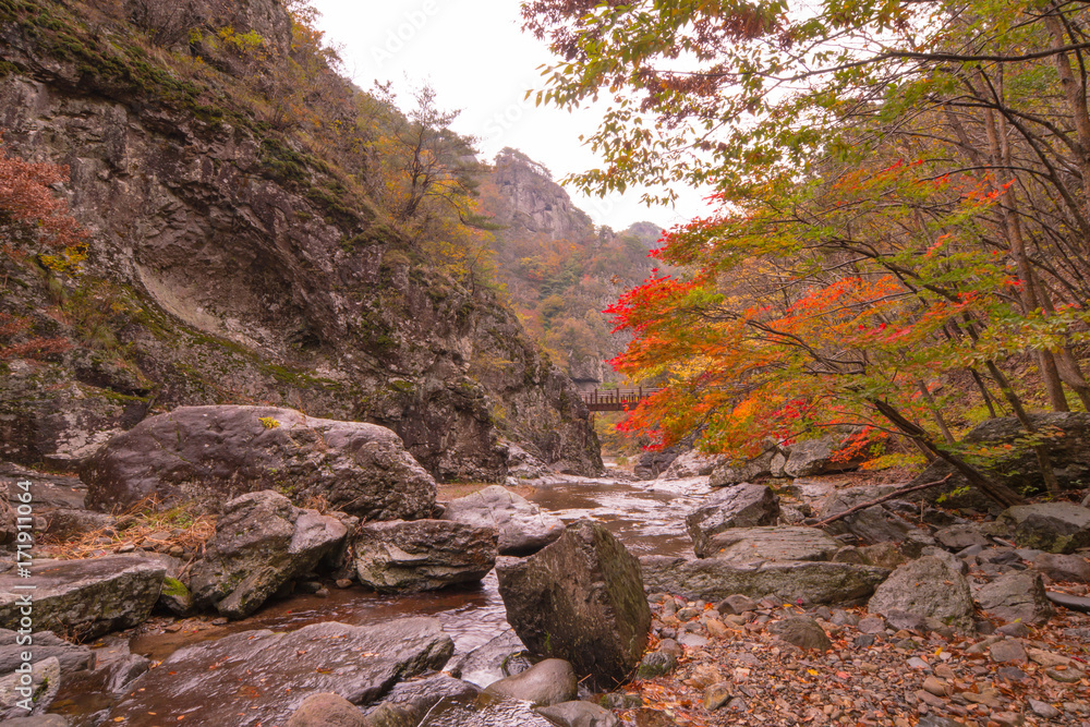 Autumn, beautiful leaves of the juwang mountain valley. Autumn, beautiful leaves of the juwang mountain valley.