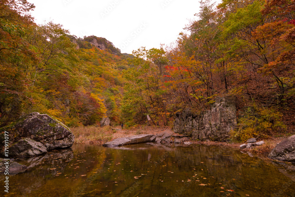 Autumn, beautiful leaves of the juwang mountain valley. Autumn, beautiful leaves of the juwang mountain valley.