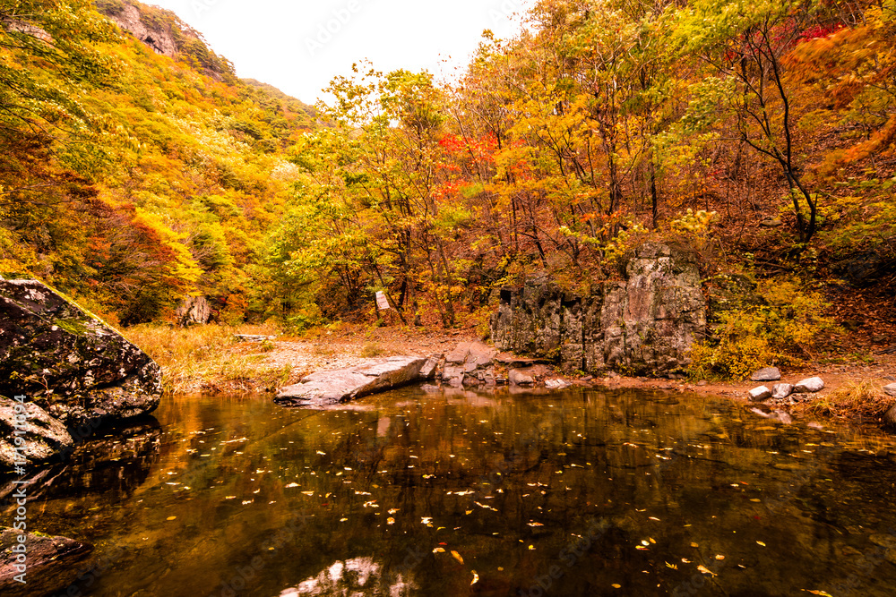 Autumn, beautiful leaves of the juwang mountain valley. Autumn, beautiful leaves of the juwang mountain valley.