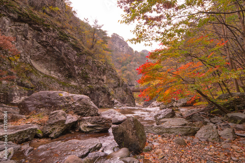 Autumn, beautiful leaves of the juwang mountain valley.