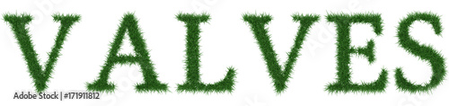 Valves - 3D rendering fresh Grass letters isolated on whhite background.