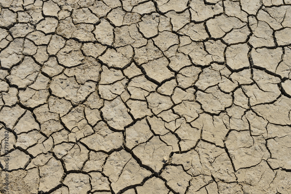 Dry soil cracking Dry soil cracking