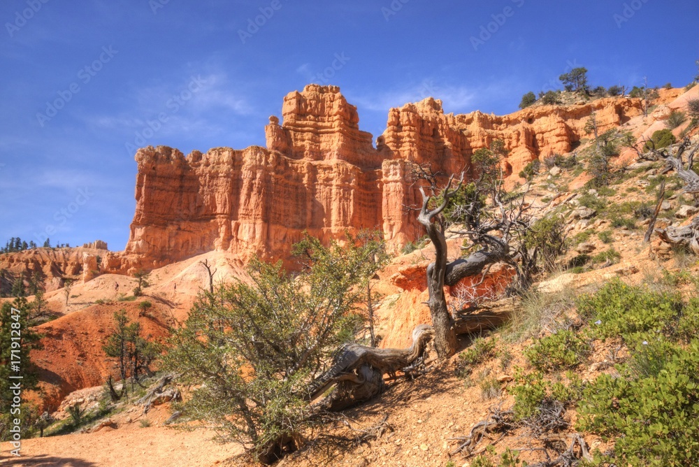 Eroded Sandstone from the Rim Trail in Bryce Canyon National Park