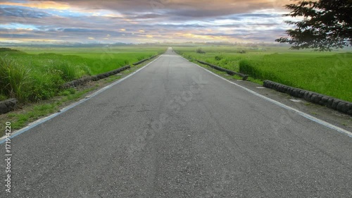 natural summer landscape with asphalt road to horizon and the beautiful view