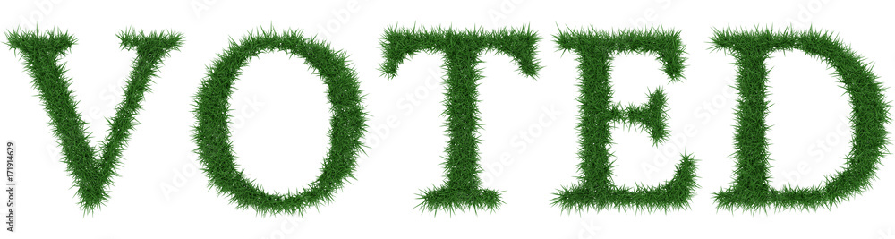 Voted - 3D rendering fresh Grass letters isolated on whhite background. Voted - 3D rendering fresh Grass letters isolated on whhite background.