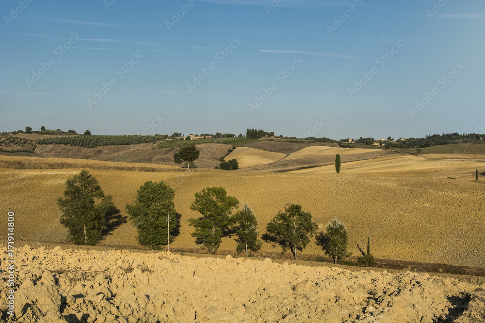 Obraz premium Rural landscape with plowed fields