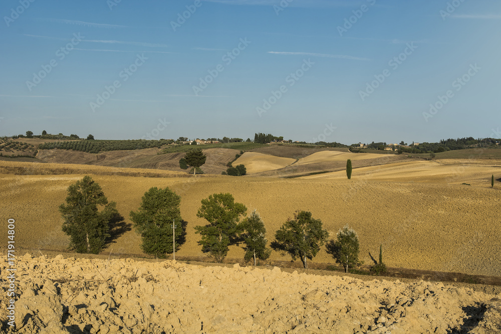 Rural landscape with plowed fields