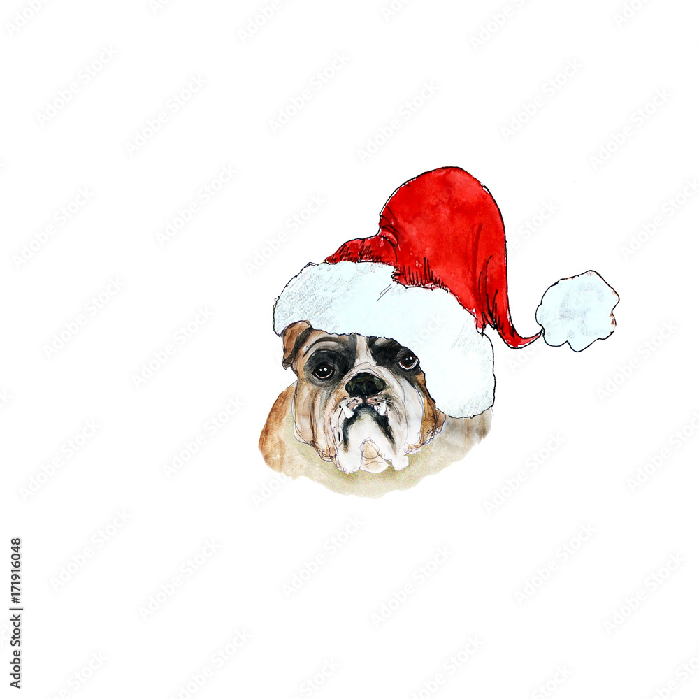 Watercolor Animals Heads with Santa hat icons
