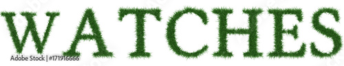 Watches - 3D rendering fresh Grass letters isolated on whhite background.
