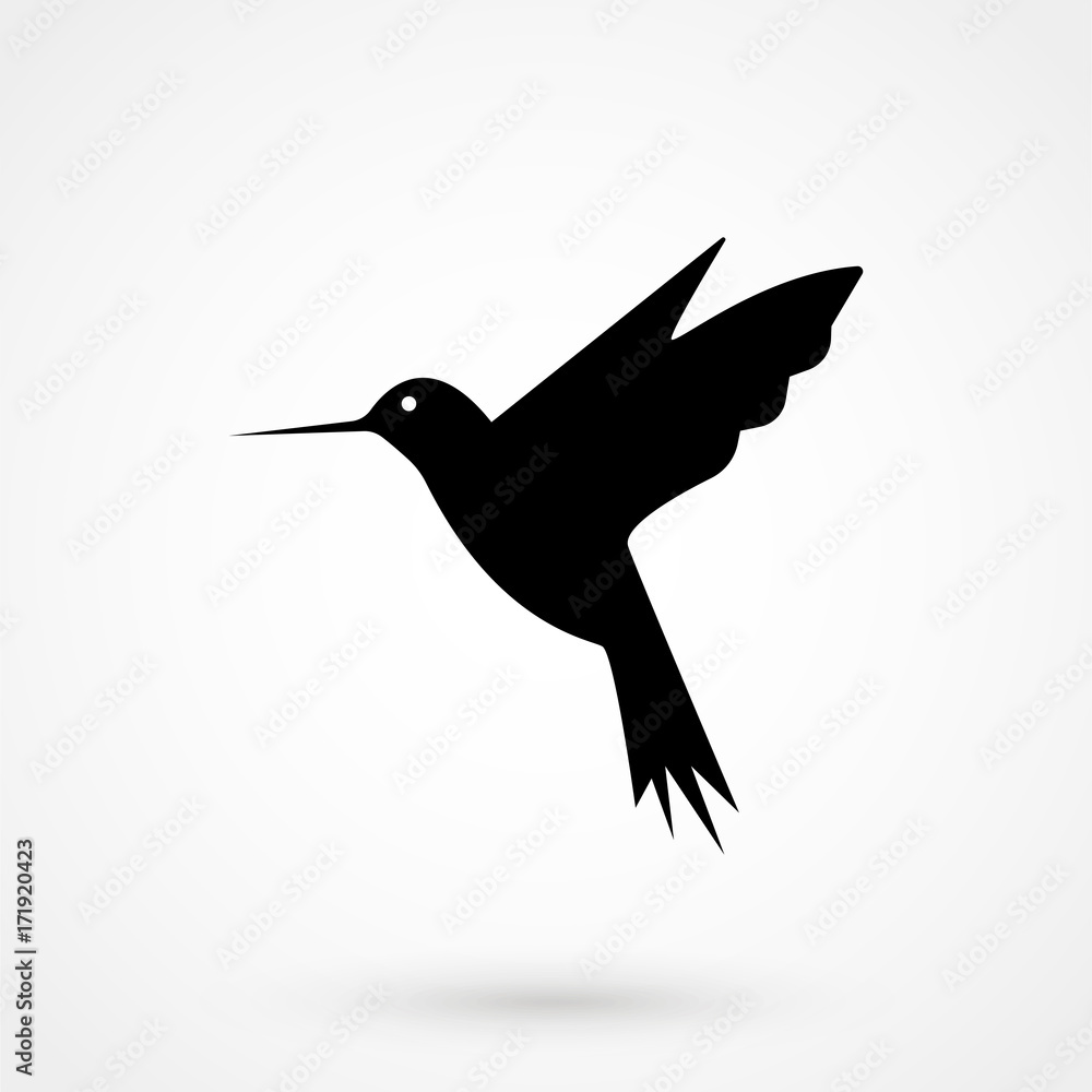 hummingbird icon - vector illustrator hummingbird icon - vector illustrator