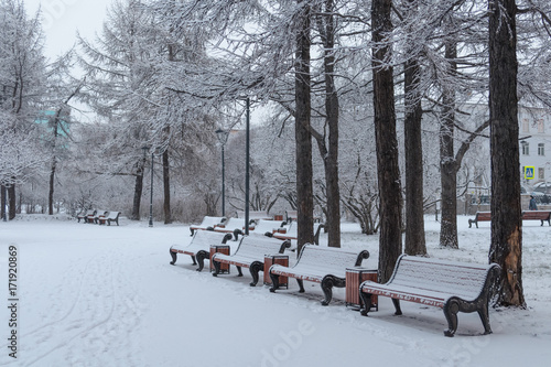 In the city park benches covered with snow.