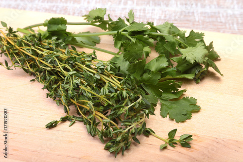 Fresh green cilantro, coriander leaves and rosemary on wooden table