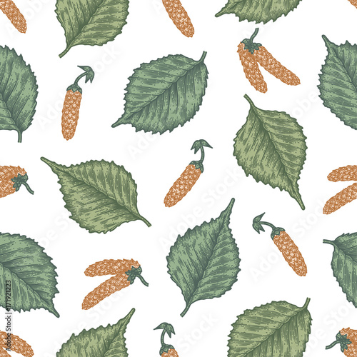 Engraving seamless pattern of birch leaves and seeds.