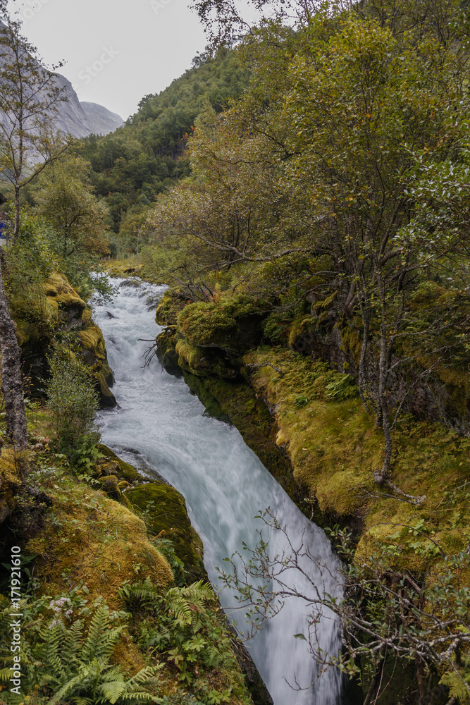 Mountain river between mossy stones