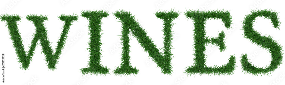 Wines - 3D rendering fresh Grass letters isolated on whhite background. Wines - 3D rendering fresh Grass letters isolated on whhite background.