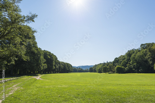 Green meadows of a park in summer in Baden-Baden
