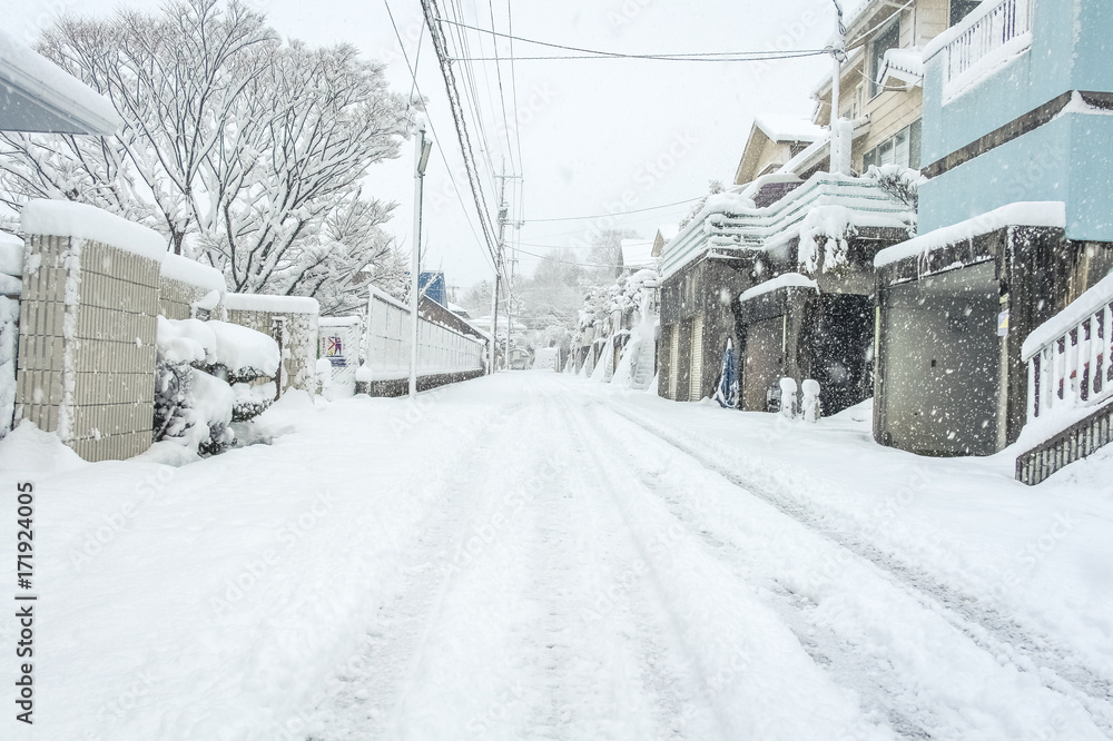 Obraz premium 雪景色