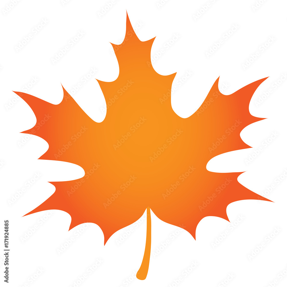 orange maple leaf orange maple leaf