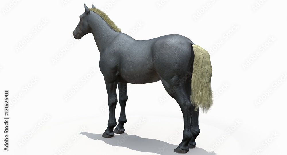 Fototapeta premium Gray Horse (3D)