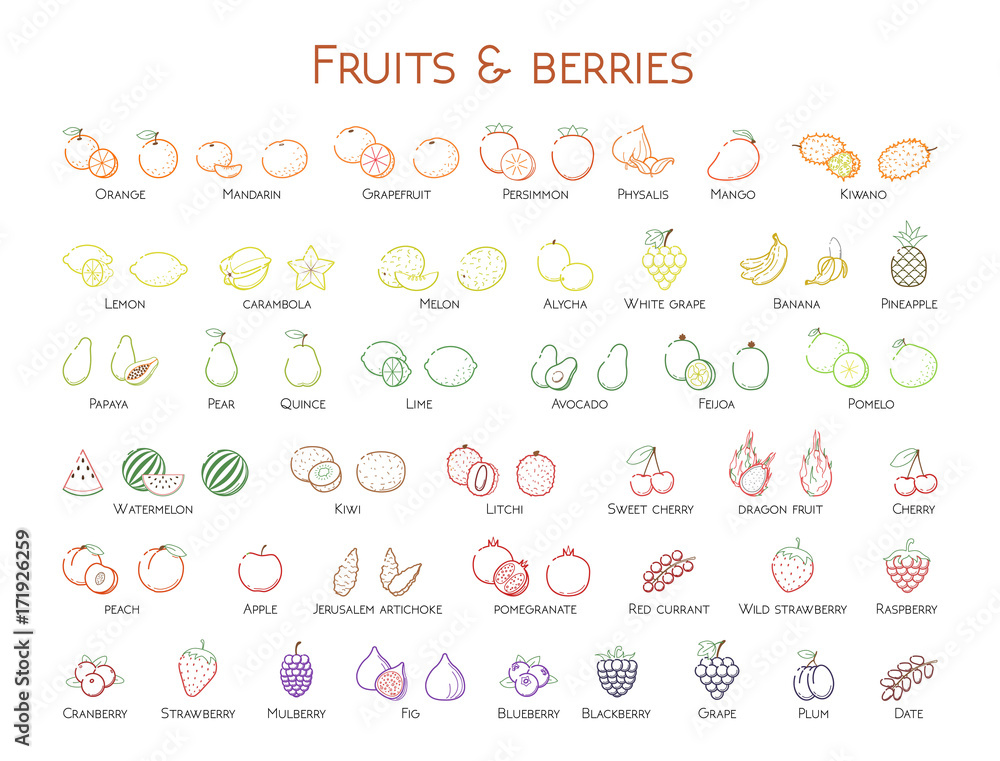 Outline colorful linear web icon set - Fruit & berries Thin bold Line food Icons For logo, label Orange banana strawberry plum, citrus, litchi, cherry, mango pear, kiwi, lemon, tropical big collection Outline colorful linear web icon set - Fruit & berries Thin bold Line food Icons For logo, label Orange banana strawberry plum, citrus, litchi, cherry, mango pear, kiwi, lemon, tropical big collection