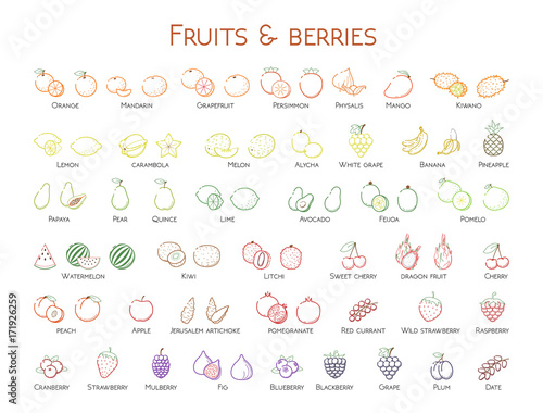 Outline colorful linear web icon set - Fruit & berries Thin bold Line food Icons For logo, label Orange banana strawberry plum, citrus, litchi, cherry, mango pear, kiwi, lemon, tropical big collection