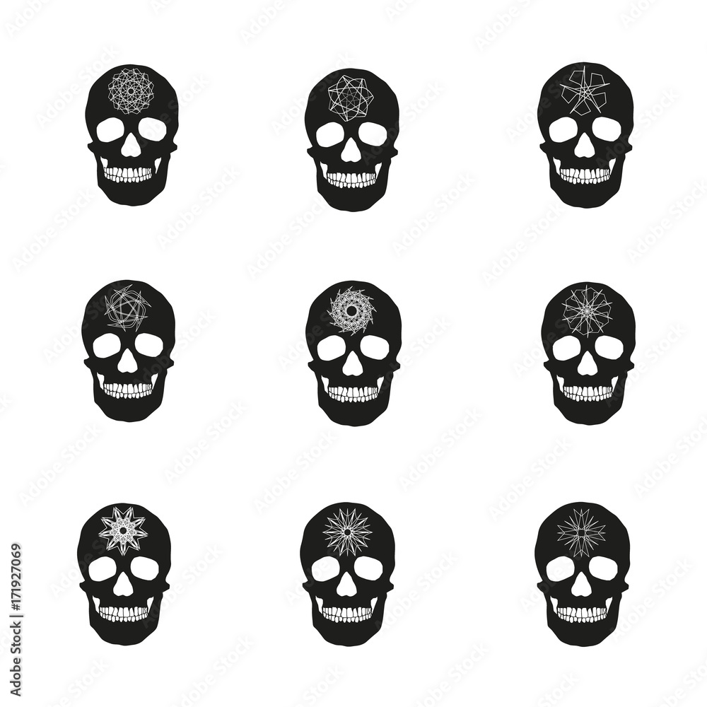 human remains of the skull bones human remains of the skull bones