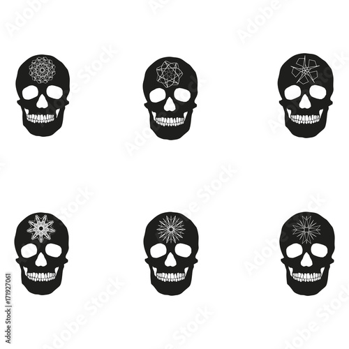 human remains of the skull bones