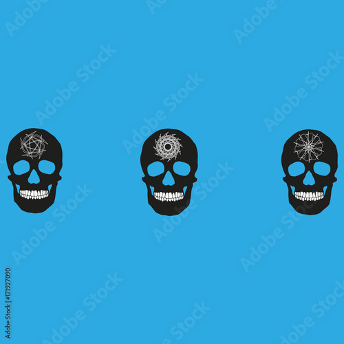 human remains of the skull bones