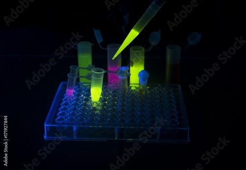 Fluorescent solutions in vials photo