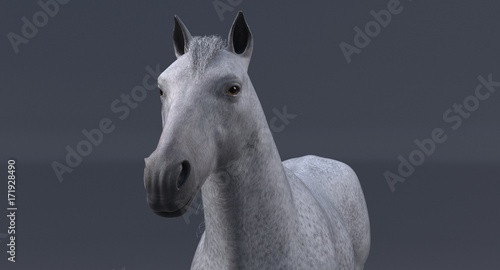 White Horse (3D)