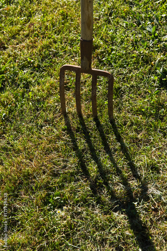 Apero de labranza. Vieja horca clavada en terreno verde con hierba  proyectando sombra Stock Photo | Adobe Stock