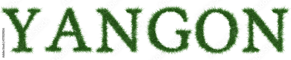 Yangon - 3D rendering fresh Grass letters isolated on whhite background. Yangon - 3D rendering fresh Grass letters isolated on whhite background.
