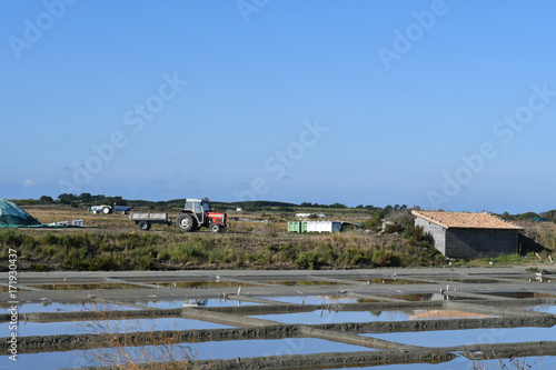 marais salant photo