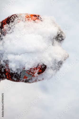 Mittens with snow winter concept © Dmitry Naumov