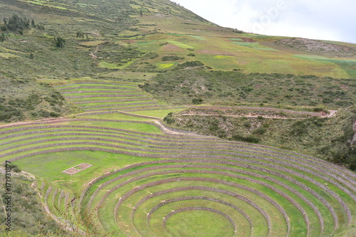 Peru Moray