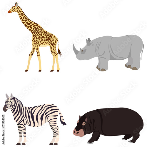 Fototapeta Naklejka Na Ścianę i Meble -  Giraffe, rhinoceros, zebra, hippopotamus. Animals of Africa.