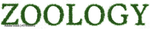 Zoology - 3D rendering fresh Grass letters isolated on whhite background.
