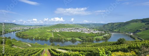 vallée de la Moselle et le village de Trittenheim