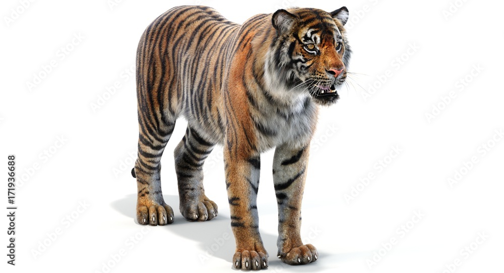 Obraz premium Tiger (3d)