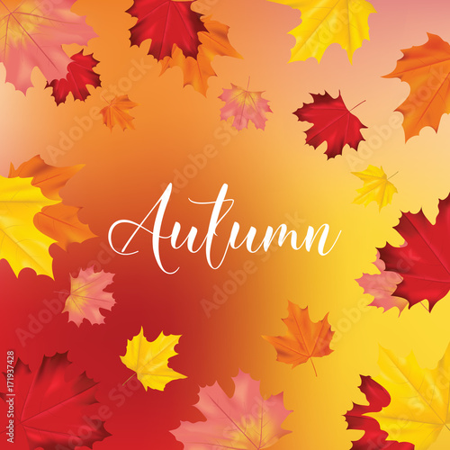 Colorful Card or Banner with Autumn Leaves in Vector with place for Text