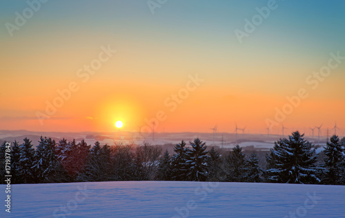 Winter sunset landscape with the frosty forest trees and sunlight beams.