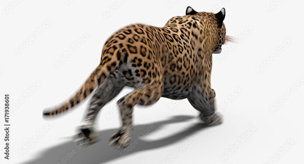 Fototapeta premium Leopard (3d)