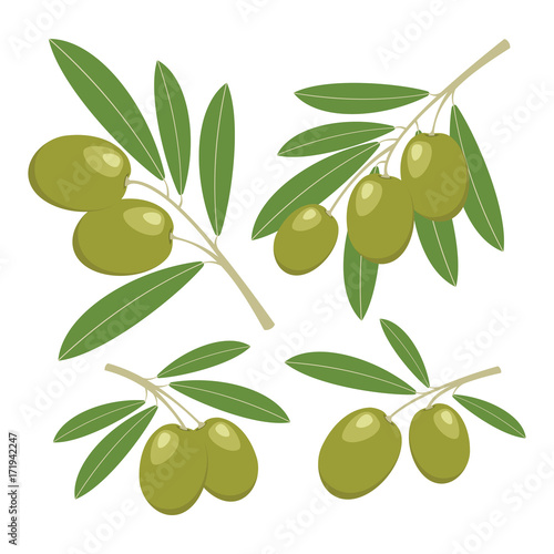 Wallpaper Mural Olives. Set of green olives with green leaves. Vector illustration. Torontodigital.ca