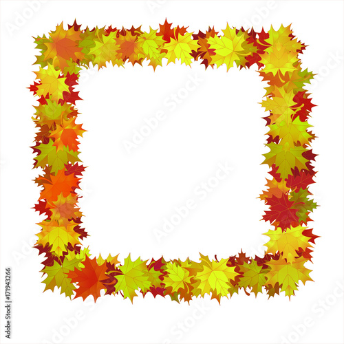 Maple rectangular frame